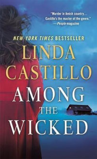 Among the Wicked : A Kate Burkholder Novel - Linda Castillo