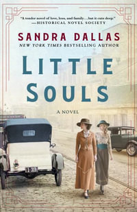 Little Souls : A Novel - Sandra Dallas