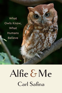 Alfie and Me : What Owls Know, What Humans Believe - Carl Safina