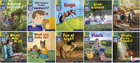 Read Write Inc. Phonics Book Bag Books : Set 5 Yellow. Non-Fiction Pack of 100 - Ruth Miskin