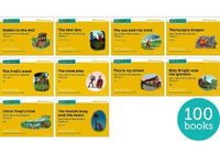 Read Write Inc. Phonics : Yellow Set 5 More Storybooks Pack of 100 - Ruth Miskin