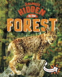 Animals Hidden in the Forest : Animals Undercover - Jessica Rusick