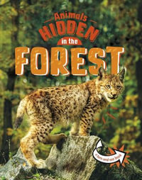 Animals Hidden in the Forest : Animals Undercover - Jessica Rusick