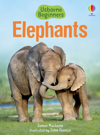 Elephants : Beginners - James Maclaine