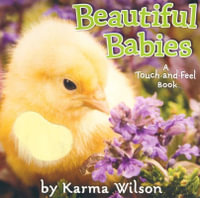 Beautiful Babies : A Touch and Feel Book - Karma Wilson