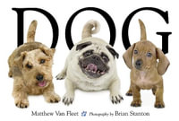 Dog - Matthew Van Fleet