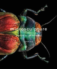 Microsculpture : Portraits of Insects - Levon Biss