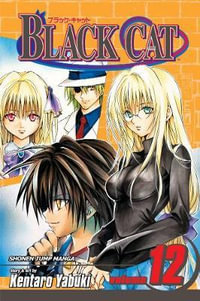 Black Cat, Vol. 12 : Black Cat - Kentaro Yabuki