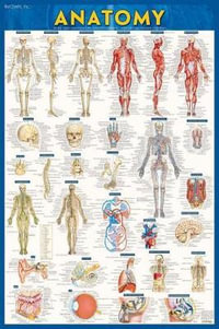 Anatomy Poster - Paper (24 x 36) : a QuickStudy reference tool - Vincent Perez