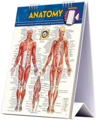 Anatomy Easel Book : A QuickStudy Reference Tool - Vincent Perez