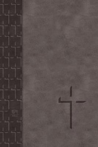 The Passion Translation New Testament (2020 Edition) Large Print Gray : With Psalms, Proverbs, and Song of Songs - Brian Simmons