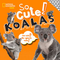 So Cute! Koalas : Koalas - CRISPIN BOYER