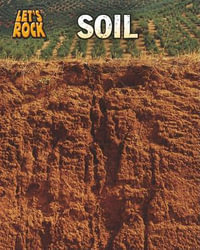 Soil : Heinemann Infosearch: Let's Rock - Richard Spilsbury