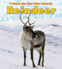 Reindeer : A Day in the Life: Polar Animals - Katie Marsico