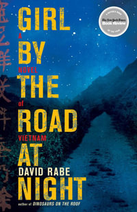 Girl by the Road at Night : A Novel of Vietnam - David Rabe