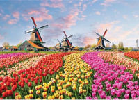 Windmills and Tulips : 1000-Piece Jigsaw Puzzle - Peter Pauper Press