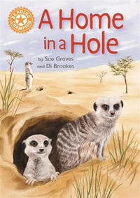 Reading Champion: A Home in a Hole : Independent Reading Orange 6 Non-fiction - Sue Graves