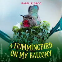 A Hummingbird on My Balcony - Isabelle Groc