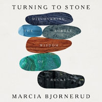 Turning to Stone - Rebecca Stern