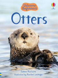 Beginners Otters : Beginners - James Maclaine