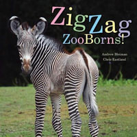 Zigzag Zooborns! : Zoo Baby Colors and Patterns - Andrew Bleiman