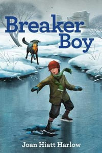 Breaker Boy - Joan Hiatt Harlow