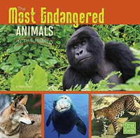 The Most Endangered Animals in the World : All about Animals - Tammy Gagne