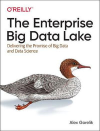 The Enterprise Big Data Lake : Delivering the Promise of Big Data and Data Science - Alex Gorelik