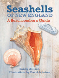 Seashells of New England : A Beachcomber's Guide - J. Duane Sept