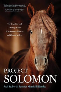 Project Solomon - Jodi Stuber