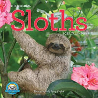 Original Sloths Wall Calendar 2025 : The Ultimate Experts at Slowing Down - Lucy Cooke