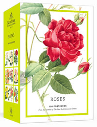 Roses: 100 Postcards : From the Archives of The New York Botanical Garden - The New York Botanical Garden