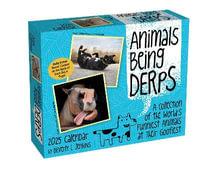 Animals Being Derps 2025 Day-to-Day Calendar - Beverly L. Jenkins