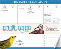 Effin' Birds 2025 Weekly Desk Pad Calendar - Aaron Reynolds