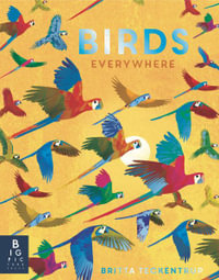 Birds Everywhere : Animals Everywhere - Camilla de La Bedoyere