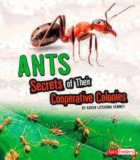 Ants: Secrets of Their Cooperative Colonies : Secrets of Their Cooperative Colonies - Karen Latchana Kenney