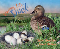 Duck : Starting Life - Claire Llewellyn