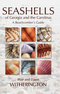 Seashells of Georgia and the Carolinas - Blair Witherington