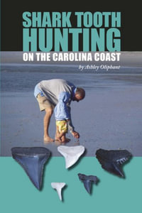 Shark Tooth Hunting on the Carolina Coast - Ashley Oliphant