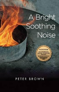 A Bright Soothing Noise : Katherine Anne Porter Prize in Short Fiction - Peter Brown