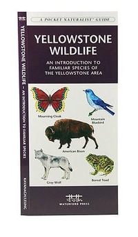 Yellowstone Wildlife : A Folding Pocket Guide to Familiar Animals of the Yellowstone Area - James Kavanagh