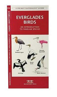 Everglades Birds : A Folding Pocket Guide to Familiar Species - James Kavanagh