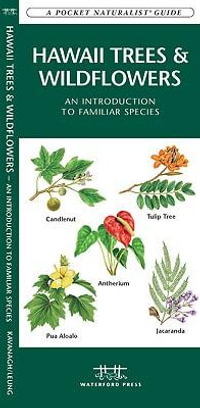 Hawaii Trees & Wildflowers : A Folding Pocket Guide to Familiar Species - James Kavanagh