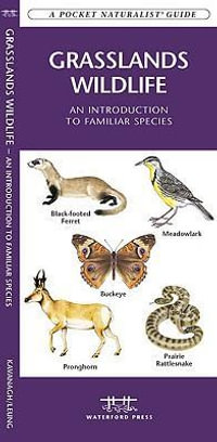 Grasslands Wildlife : An Introduction to Familiar Species Found in Prairie Grasslands - James Kavanagh