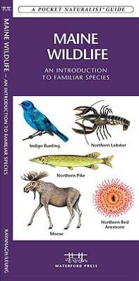 Maine Wildlife : A Folding Pocket Guide to Familiar Animals - James Kavanagh