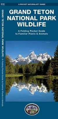 Grand Teton National Park Wildlife : A Folding Pocket Guide to Familiar Animals & Plants - James Kavanagh