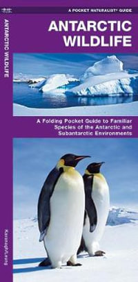 Antarctic Wildlife : A Folding Pocket Guide to Familiar Species of the Antarctic and Subantarctic Environments - James Kavanagh