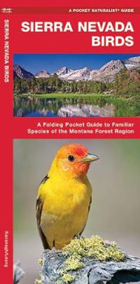 Sierra Nevada Birds : A Folding Pocket Guide to Familiar Species of the Montane Forest Region - James Kavanagh