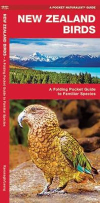 New Zealand Birds : A Folding Pocket Guide to Familiar Species - James Kavanagh