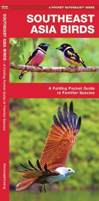 Southeast Asia Birds : A Folding Pocket Guide to Familiar Species - James Kavanagh